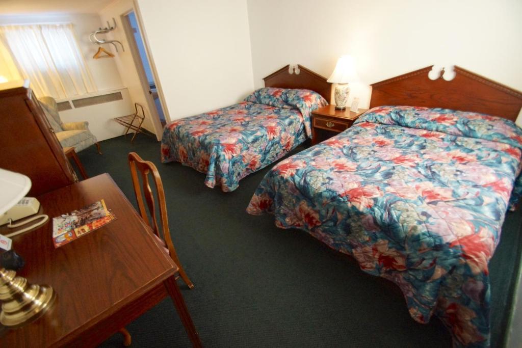 סקניאטלס Birds Nest Motel חדר תמונה
